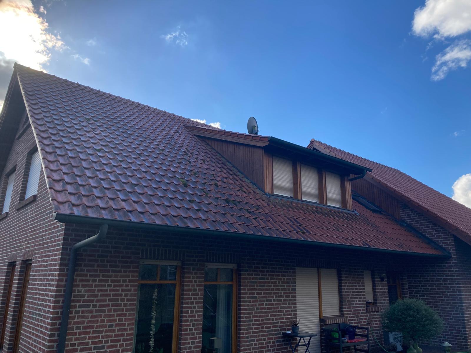 Dachreinigung Regional Vorher